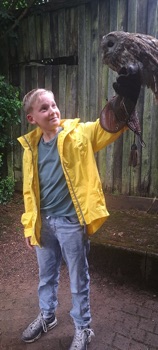 Bild_11